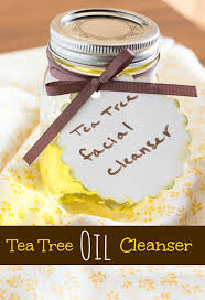 homemade tea tree oil cleanser