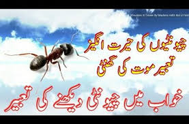 Khwab Mein Chuntiyan Dekhna Khwab Mein Chunti Dekhna Ki Tabeer Ant Dream Ants Dream I Islamic Dream Interpretation Dream Meanings Dream Interpretation