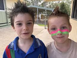 Widgee State School Newsletter