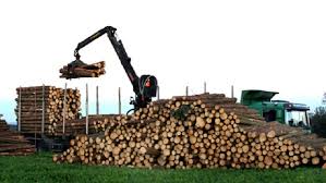 14.05.2019 la pretul de 100 lei fara tva. Masa LemnoasÄ ProvenitÄ Din Fondul Forestier Proprietate PublicÄ Va Putea Fi ValorificatÄ La BursÄ