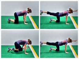 Pin On Exercise