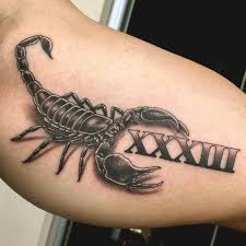 Whatever you need, whatever you want, whatever you desire, we provide. Best Scorpio Tattoos Scorpio Tattoo Scorpion Tattoo Scorpio Zodiac Tattoos