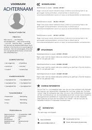 Cv Template Voorbeelden Per Branche In Word Format