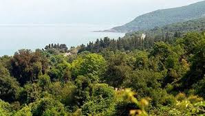 Δείτε 146 αντικειμενικές κριτικές για το τζάκι, με βαθμολογία 4 στα 5 στο tripadvisor και ταξινόμηση #1 από 4 εστιατόρια σε . Polydendri Agia Larisas