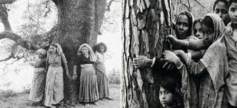 Chipko Movement Women Embracing Trees An Art Of Protesting Open Naukri