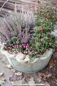 Garden Flow In 2020 Fall Container Gardens Most Beautiful Gardens Fall Containers