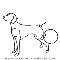 Dingo Coloring Pages Ultra Coloring Pages