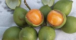 Fruits Cuisine Saveurs Belle Martinique Fruits Exotiques Fruits Salade De Fruits Exotiques