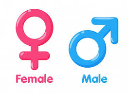 gender vectors photos and psd files free download