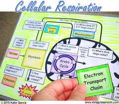 Pin On Tpt Science Lessons