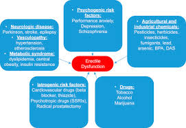 Sponsored by casual teen sex. Aphrodisiacs An Overview Sciencedirect Topics