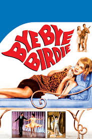 Bye Bye Birdie : Leigh, Janet, Dyke, Dick Van, Ann-Margret, Stapleton,  Maureen, Rydell, Bobby, Pearson, Jesse, Sullivan, Ed, Lynde, Paul, Laroche,  Mary, Evans, Michael: Amazon.nl: DVD & Blu-ray