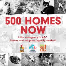 Bring your pet to the austin pet expo. 500 Homes Now Free Pet Adoptions In Austin At Austin Pets Alive