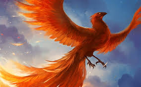 The bird that is reborn from ashes in greek mythology, and in the talmud, a phoenix (ancient greek: Phoenix Bird 1080p 2k 4k 5k Hd Wallpapers Free Download Wallpaper Flare