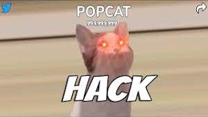 Right click on the hidden file popcapgame1.exe. Popcat Hack 100 Radiiiii Youtube