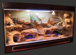 Best Ideas Bearded Dragon Habitat 040 Bearded Dragon Terrarium Bearded Dragon Habitat Bearded Dragon Cage