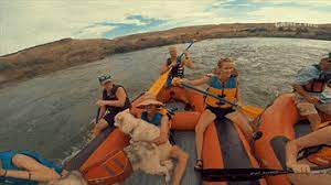 Freestyle canoeing routine funny image. Water Rafting Gifs Get The Best Gif On Giphy