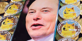 Cocodrilo genera tremendo