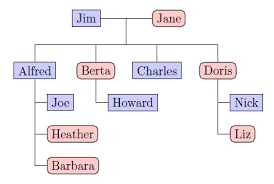 how can i improve this family tree in tikz tex latex