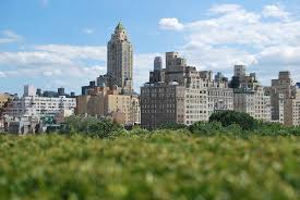 Roof Garden Cafe And Martini Bar New York City Central Park Restaurant Bewertungen Telefonnummer Fotos Tripadvisor