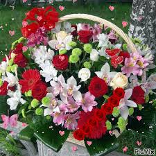 Https Encrypted Tbn0 Gstatic Com Images Q Tbn 3aand9gcszbp Ru6vg5prdzw Asnyadws N1xut74hxa Usqp Cau