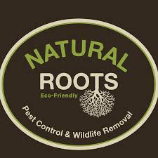 The only way to get rid of these types of issues will be to contact the best pest control companies in your area. Natural Roots I Eco Friendly Pest Control Wildlife Removal 476 Photos Pest Control Service 2114 Devine St Columbia Sc 29205
