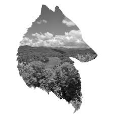 Maybe you would like to learn more about one of these? Wolf Creek Overlook Rv Park Campground Home Facebook
