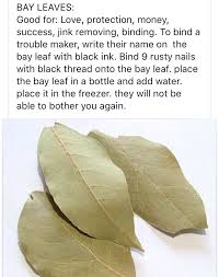 Bay Leaves Witchcraft Spell Books Herbal Magic Magical Herbs