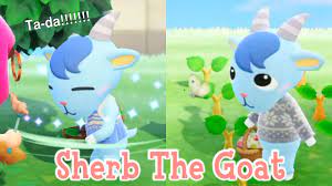 Sherb The Goat #01 Lazy Villager Animal Crossing New Horizons ACNH - YouTube