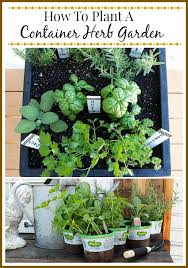 How to plant a herb garden in a container. Tips For Planting A Container Herb Garden