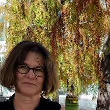 What to do in Sebastopol for 3/4 day?