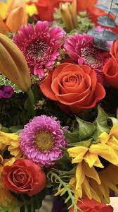 A houston florist since 1985, lexis florist is a top houston florist. Wholesale Flowers In 2021 Wholesale Flowers Flowers Flowers Online