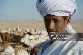 1.649 fotos e imágenes de alta resolución de Scott Shepherd