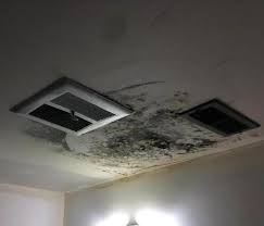 This Is A Picture Of A Black Mold Stachybotrys Chartarum Job Done In A Gresham Household The Before Picture Sho Molding Commercial Property Mold Remediation