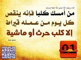 حكم حكم تربية الكلب islam quran arabic calligraphy islam