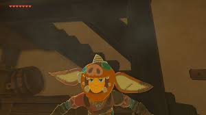 The handle comes in handy when you need to handle the appliances in. Bokoblin Mask The Legend Of Zelda Breath Of The Wild Wiki Guide Ign