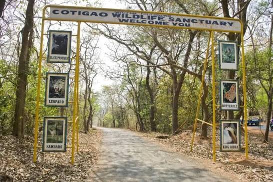 Cotigao Wildlife Sanctuary Trails, South Goa
