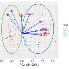 Image result for Crepidorhopalon whytei