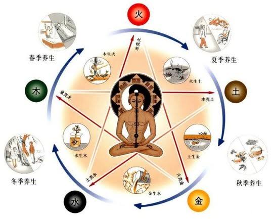Resultado de imagem para medicina tradicional chinesa"