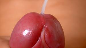 Beautiful Cock in Close Up  Jordan Wilder