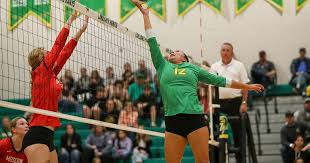 4A Region 1 volleyball championship: Moscow denies Lakeland again