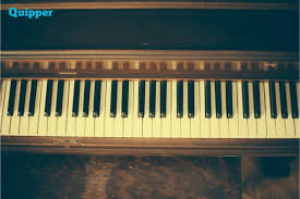 Alat Musik Di Sekitar Kita Alat Musik Tuts
