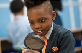 Harlem, NY Classifieds