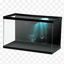 Home » aksesoris rumah » 15 desain contoh model aquarium minimalis. Aquarium Aquascaping Tetra Paludarium Akwaterrarium Lainnya Aneka Persegi Panjang Png Pngegg