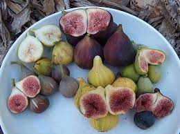 Maybe you would like to learn more about one of these? Rare Fruit Trees Thrive Amid California Drought Kpbs