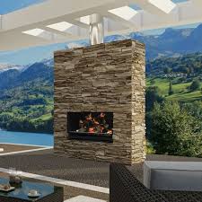 Escea Outdoor Wood Burning Fireplace Insert Grill With Optional Fascia Outdoor Wood Burning Fireplace Outdoor Gas Fireplace Wood Burning Fireplace Inserts