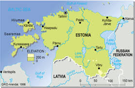 Celebrate your territory with a leader's boast. Estonia Topographic Map Grid Arendal