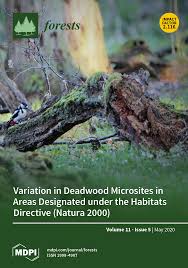 Image result for Julbernardia seretii