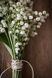 Inilah 12 wallpaper bunga tulip putih yang menakjubkan bunga. Gambar Bunga Lily Biru 20 Bunga Dan Berbagai Maknanya Uprint Id Dari 10 Jenis Bunga Lili Unik A Small Flower Arrangements Flowers Online Buy Flowers Online