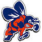 Bridgman Bees vs Lakeview Wildcats event in Bridgman, MI